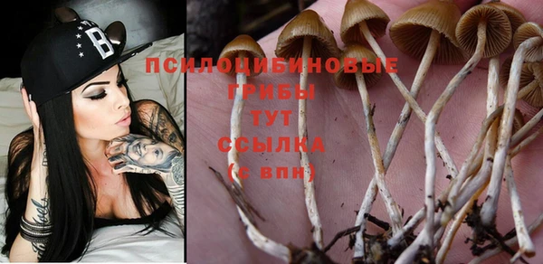 мет Абдулино